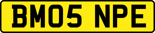 BM05NPE