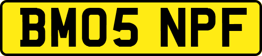 BM05NPF