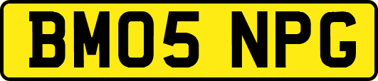 BM05NPG