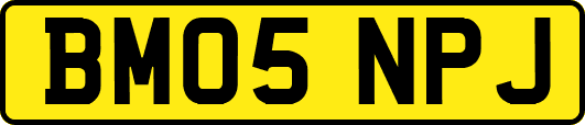 BM05NPJ