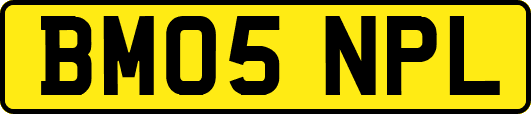 BM05NPL