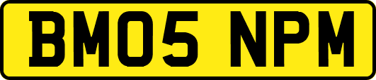 BM05NPM