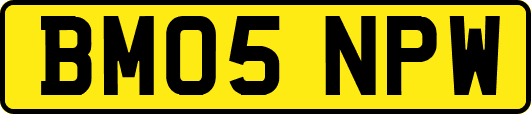 BM05NPW