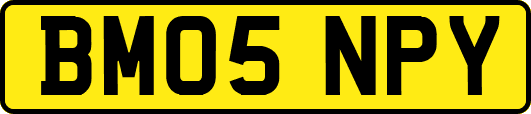 BM05NPY
