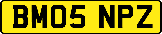 BM05NPZ