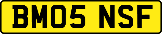 BM05NSF