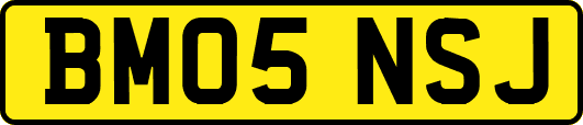 BM05NSJ