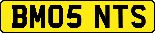 BM05NTS