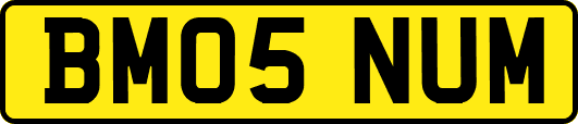 BM05NUM