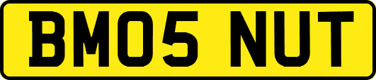 BM05NUT