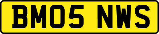 BM05NWS