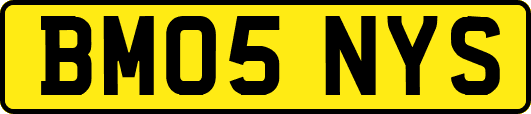 BM05NYS