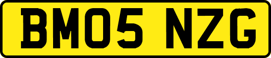 BM05NZG