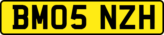 BM05NZH