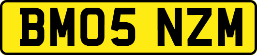 BM05NZM