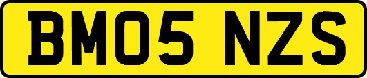 BM05NZS
