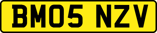 BM05NZV