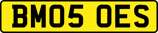 BM05OES