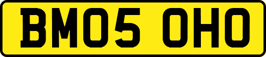 BM05OHO