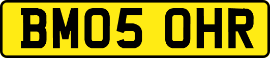 BM05OHR