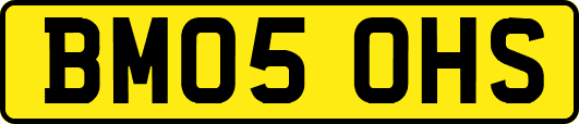 BM05OHS