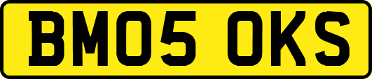 BM05OKS