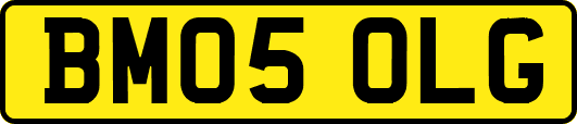 BM05OLG