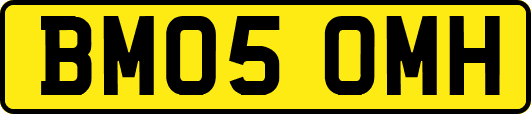 BM05OMH