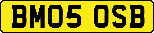 BM05OSB