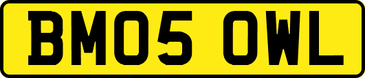 BM05OWL