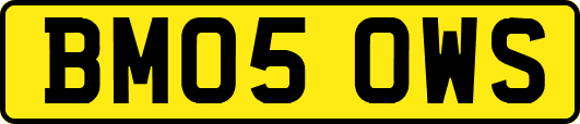 BM05OWS