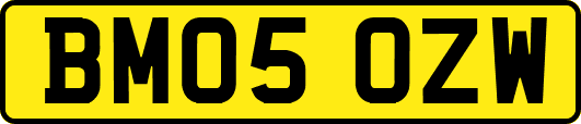 BM05OZW
