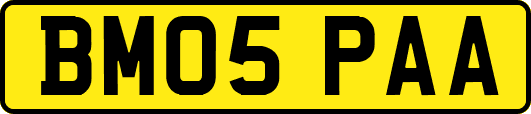 BM05PAA