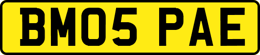 BM05PAE