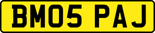 BM05PAJ