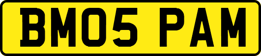 BM05PAM