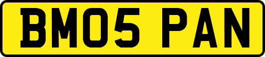 BM05PAN
