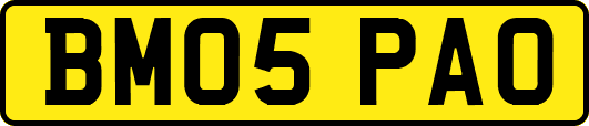 BM05PAO