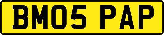 BM05PAP