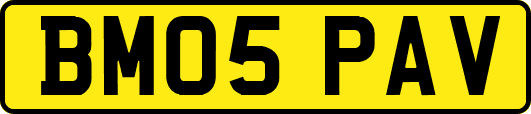 BM05PAV