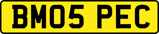 BM05PEC