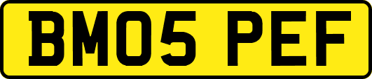 BM05PEF
