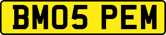 BM05PEM
