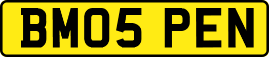 BM05PEN