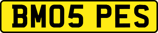 BM05PES