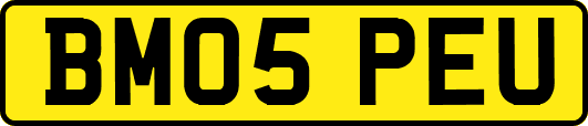 BM05PEU