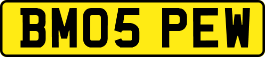 BM05PEW