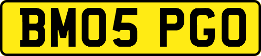 BM05PGO