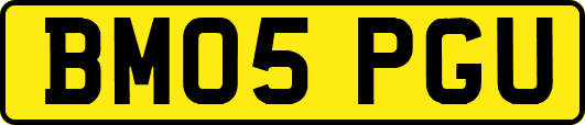 BM05PGU