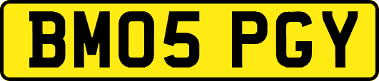 BM05PGY